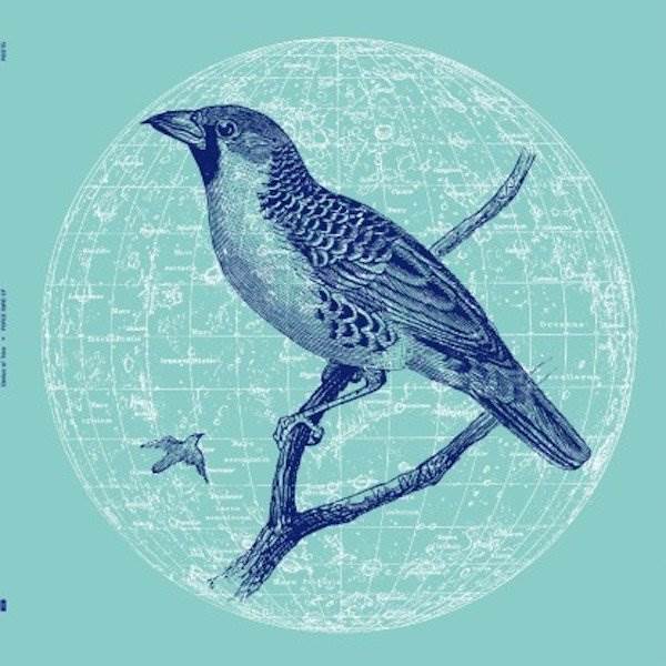 114307 Peace Bird