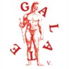 GALATE V: Druido
