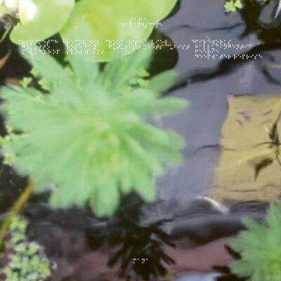 R-14258467-1570897446-8151.jpeg In A Landscape