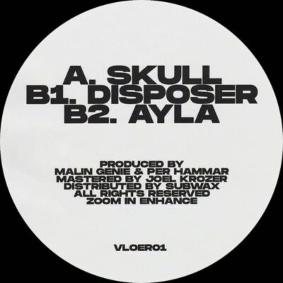VLOER01_A Skull