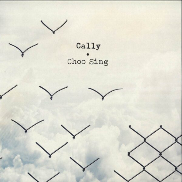 937055 Choo Sing