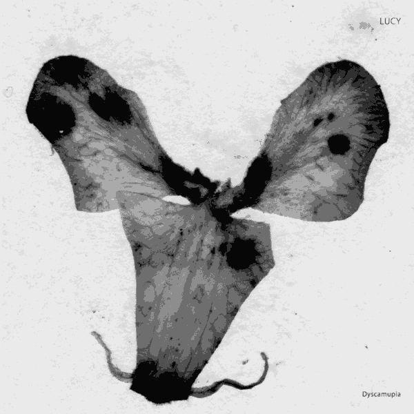 SA034-Artwork-970x975 Dyscamupia