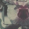 ATIPIC009