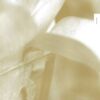About Blank 008