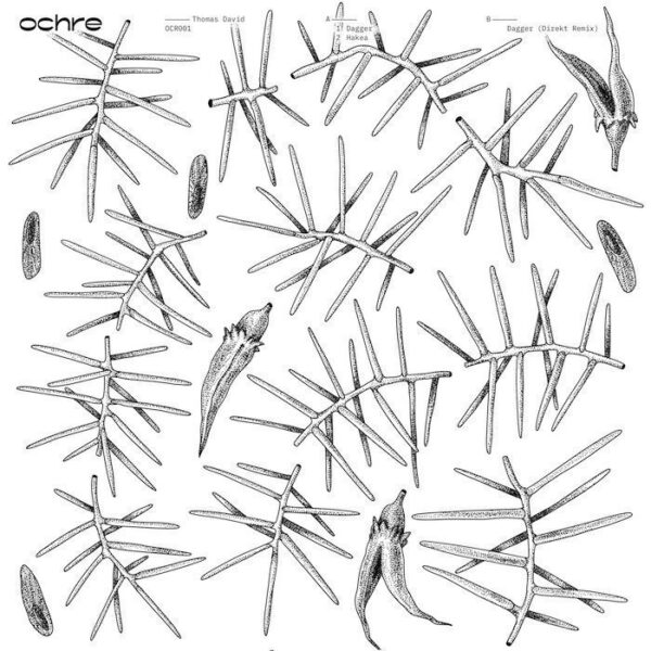 OCR001 Dagger / Hakea