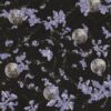 Stereomoon