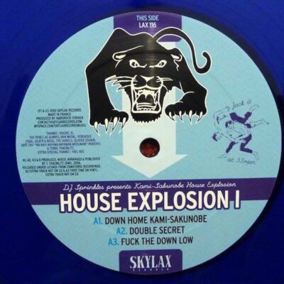 House Explosion I
