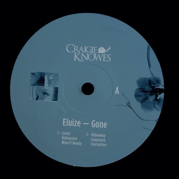 CKNOWLP2 - Vinyl A Gone
