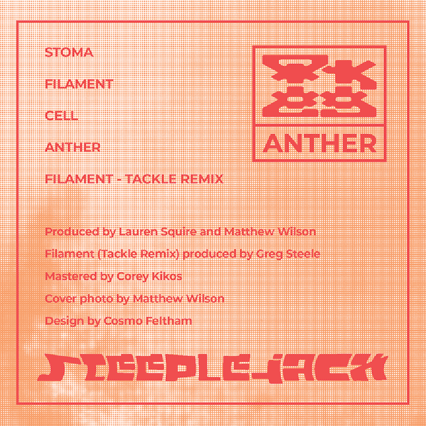 Anther