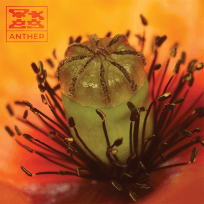 Anther
