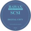 Digital Ciity