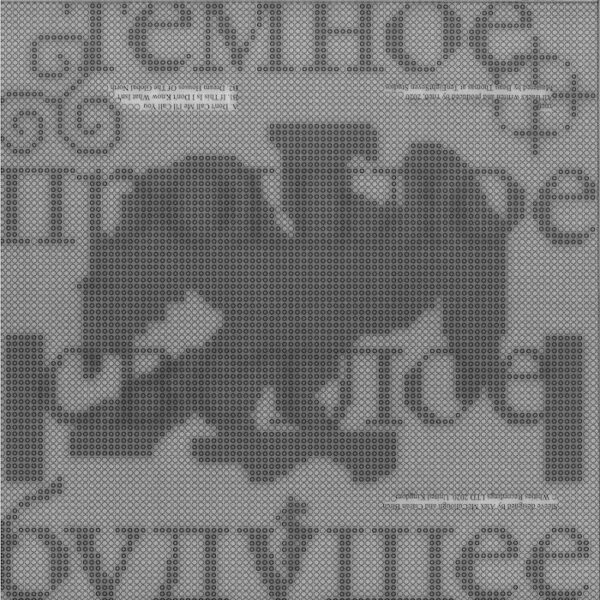 Whities 031