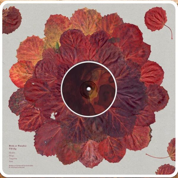 HYPNUS024_back Till Dig