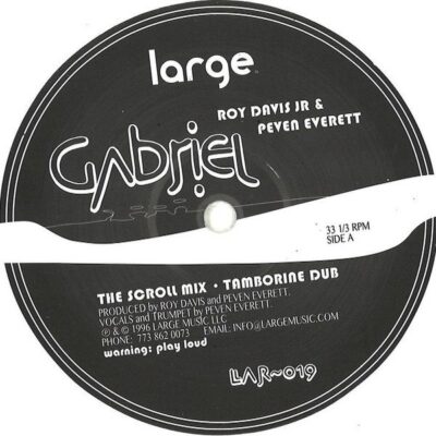 LARV019WHITE Gabriel