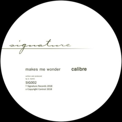 SIG002RP_front Makes Me Wonder / Got To Have You
