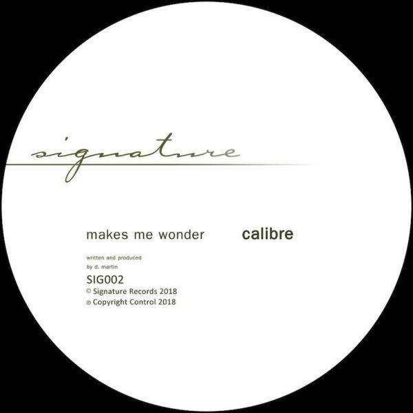 Makes Me Wonder / Got To Have You