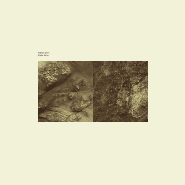 NE82 Winter Ashes