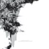 Cover_HQ Zerno