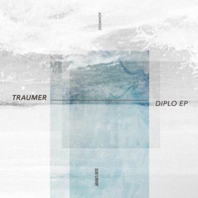 210214_ADM002_12inch Diplo