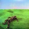 Bright Green Field