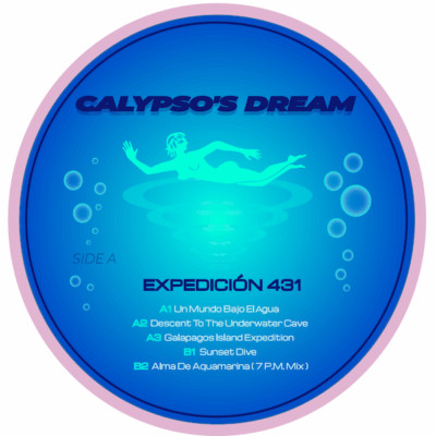Expedición 431