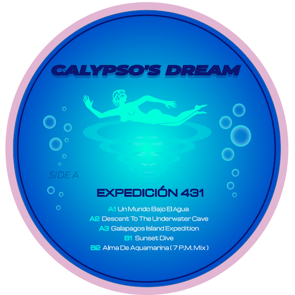 Expedición 431