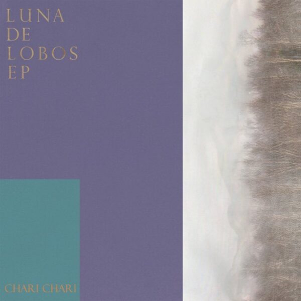 SAGV036_1 Luna De Lobos EP (Creative Hustlers Against Rotten Idea)