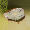 Limpet Minds