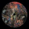 WLTD002 Kiss Me Again