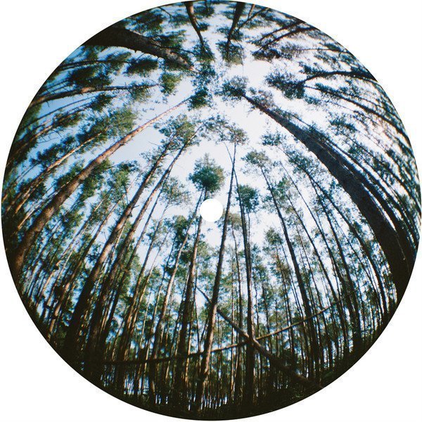 DPNS002 Duality