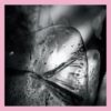 KRANK231LP Clara