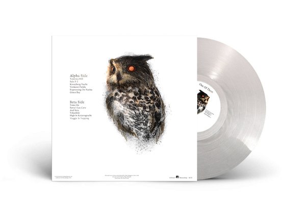 Aritficial Owl Regordings Sithabo Vinyl Back Sithabo