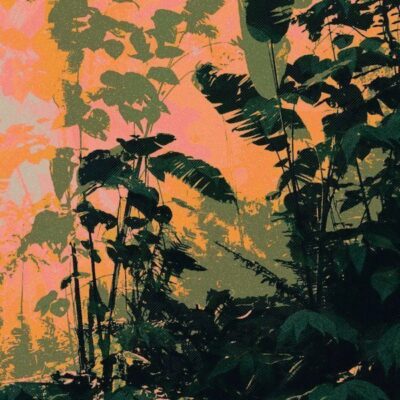 DPTX-027 Amnesia