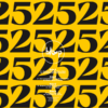 Bloop 25