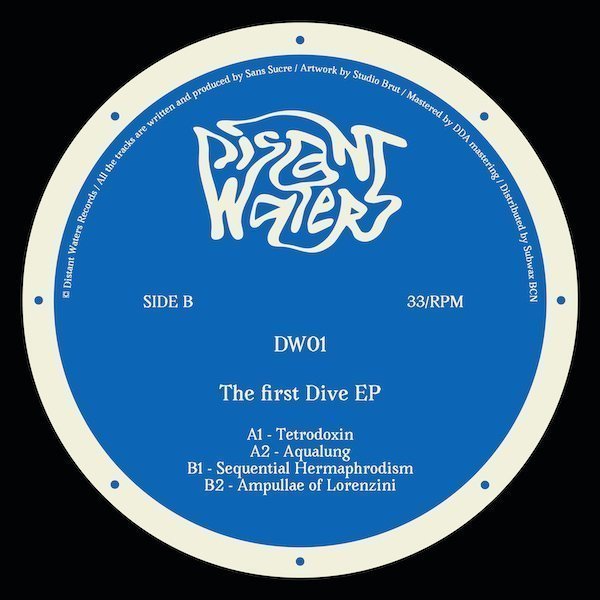 DW01_Artwork_SideB The First Dive