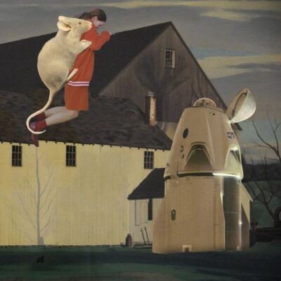 NM030 Dream Farm