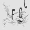 TFGC020 S/T