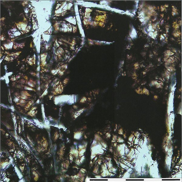998548 Vesta EP