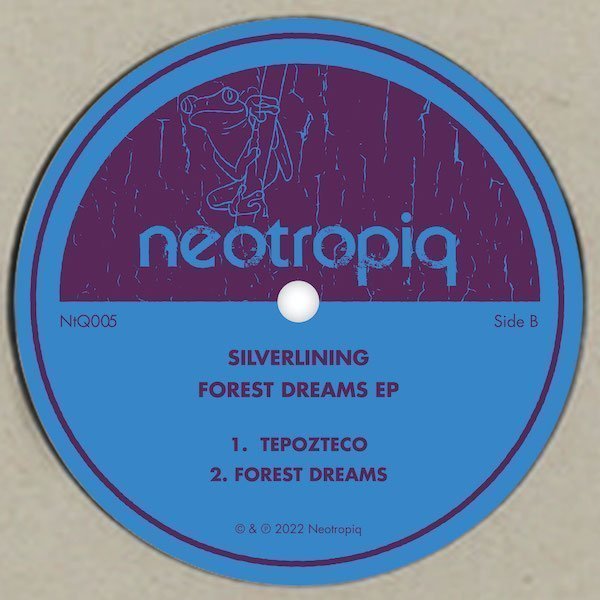 NtQ005_B Forest Dreams