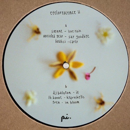 PI001 Efflorescence ii