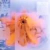056 (The Lotus)