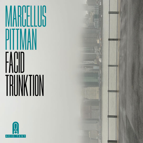 ACIDTEST019 Facid Trunktion