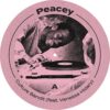 ARC230SD2V Play It By Ear
