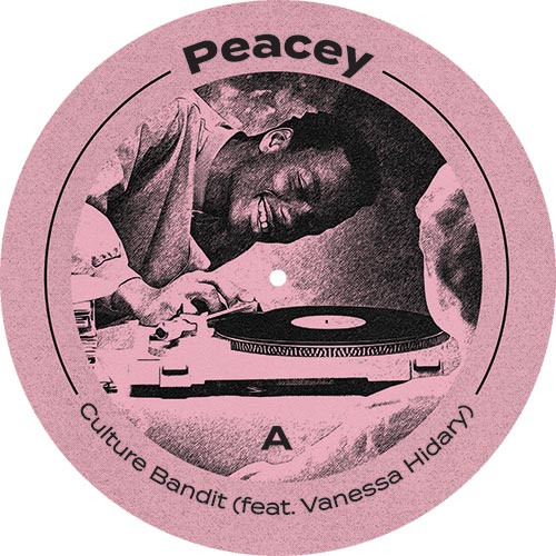 ARC230SD2V Play It By Ear