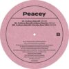 ARC230SD2V_2 Play It By Ear