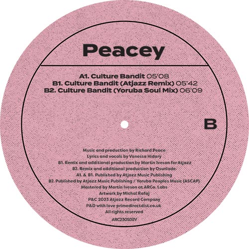 ARC230SD2V_2 Play It By Ear