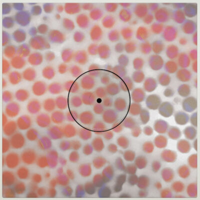 Roza Terenzi & Furious Frank LP