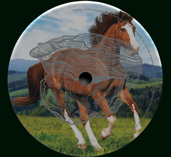 OYSTER53_2 Hear Me Neigh