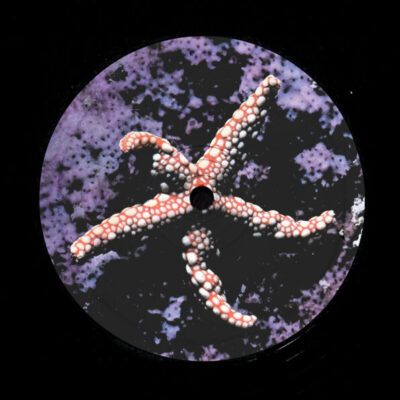RADIANTRECORDS007_1 Total Body