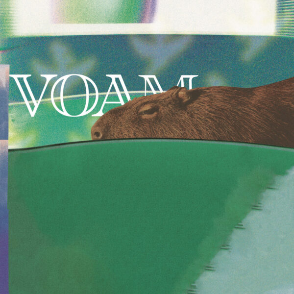 VOAM012_1 Escándaloo